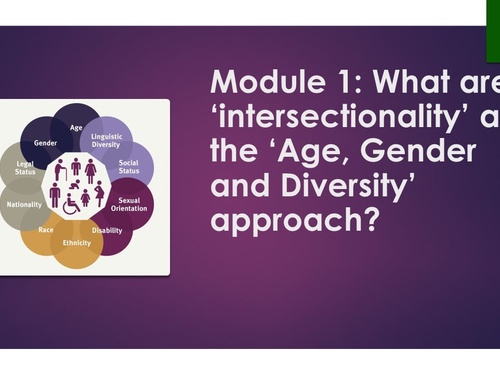 A screenshot of a powerpoint slide. Text reads 'What are 'intersectionality' and the 'Age, Gender and Diversity' approach?'

