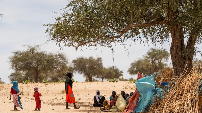 Chad. More than 41,000 Sudanese refugees flee across border in 2025
