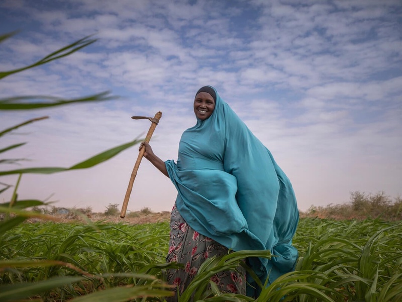Ethiopia. Ikea is supporting refugees and host community on livestock and farming interventions in Buramino and Hilaweyn camps