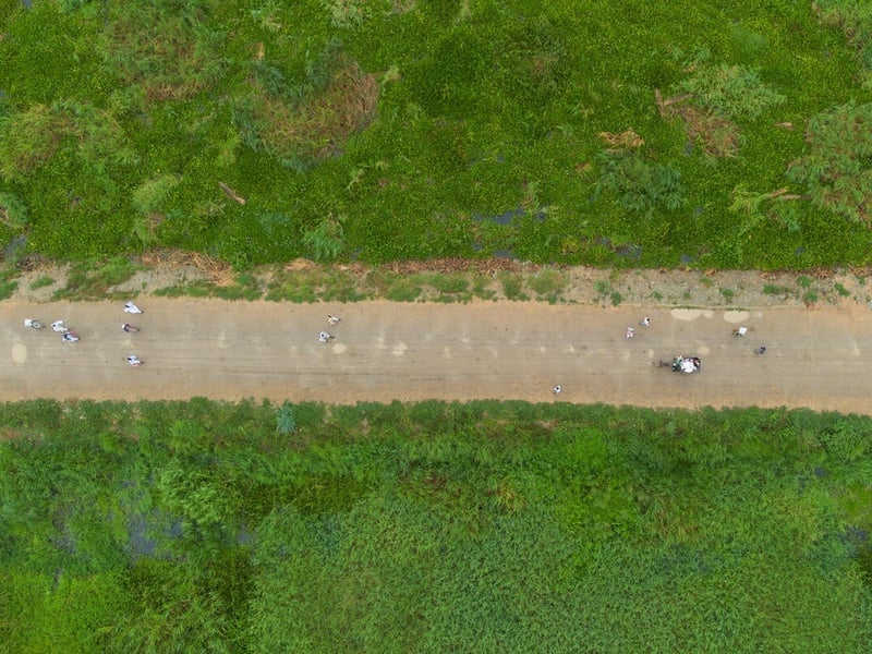 Aerial view of people walking on a wide dirt road between dense greenery.