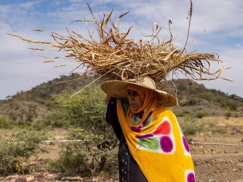 Jamilah Majed: A Journey Towards Recovery and Stability