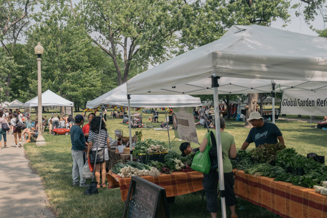 Vegetables from the Global Garden Refugee Training Farm are sold at the Portage Park Farmers Market. 