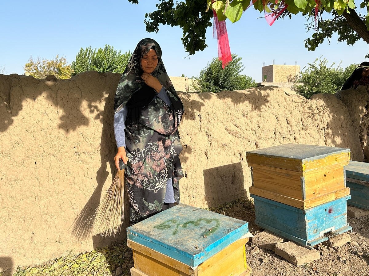 A woman stands holding a broom which she uses to clear her bees from pests