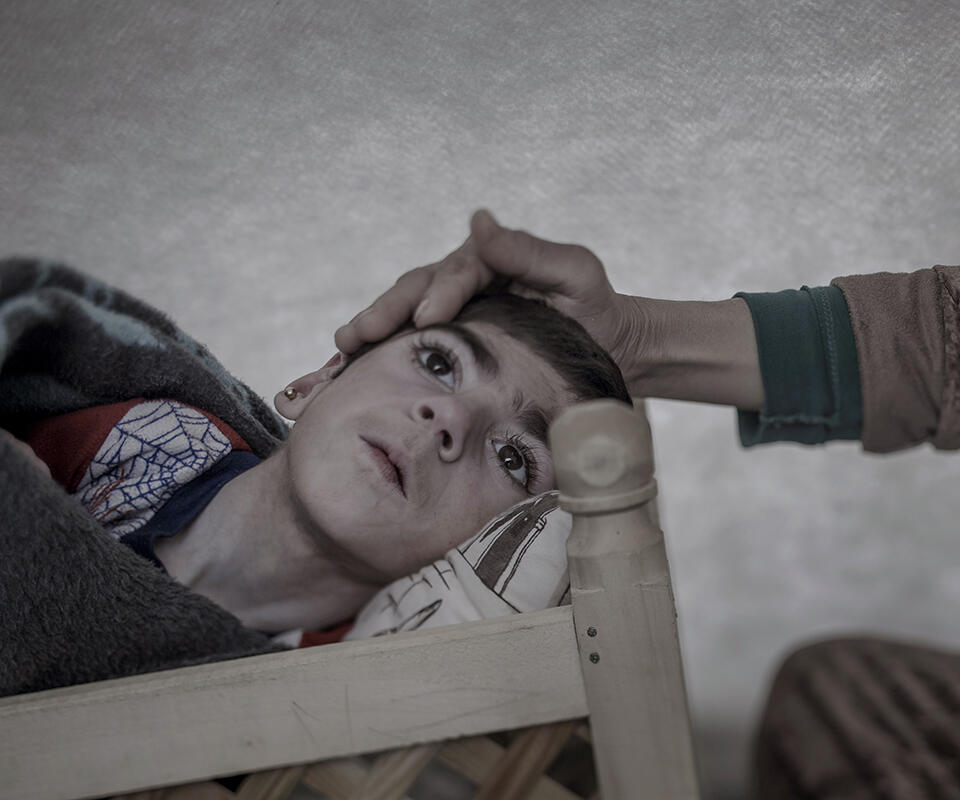 Shiraz, 9 - Suruc, Turkey