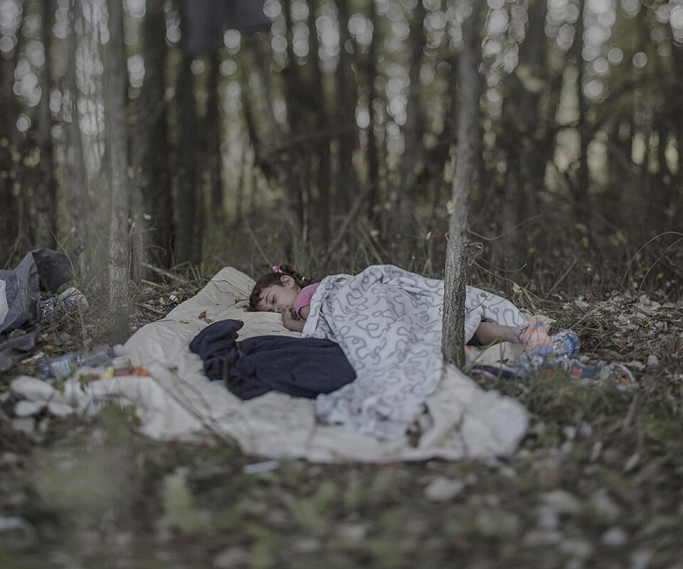 Lamar, 5 - Horgos, Serbia