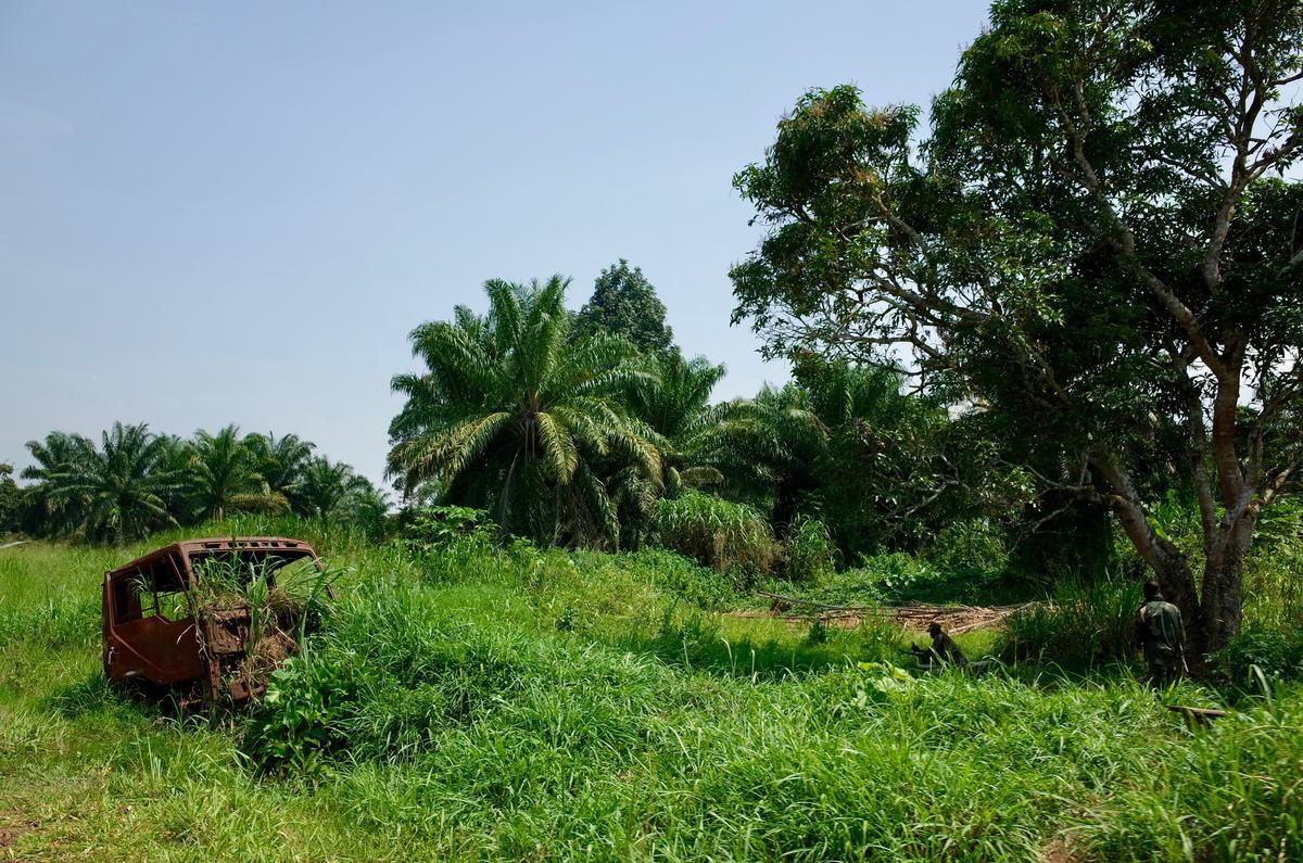 Democratic Republic of Congo. Burned vehicle in Beni territory, North Kivu
