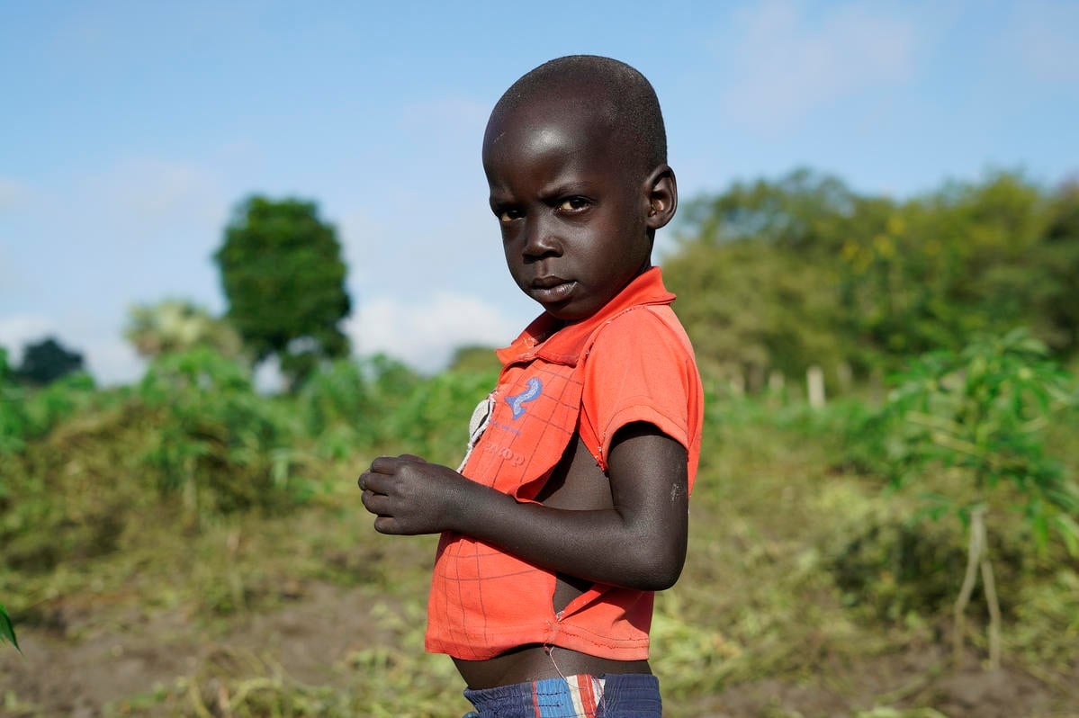Uganda. South Sudanese refugees regenerate rice-growing economy