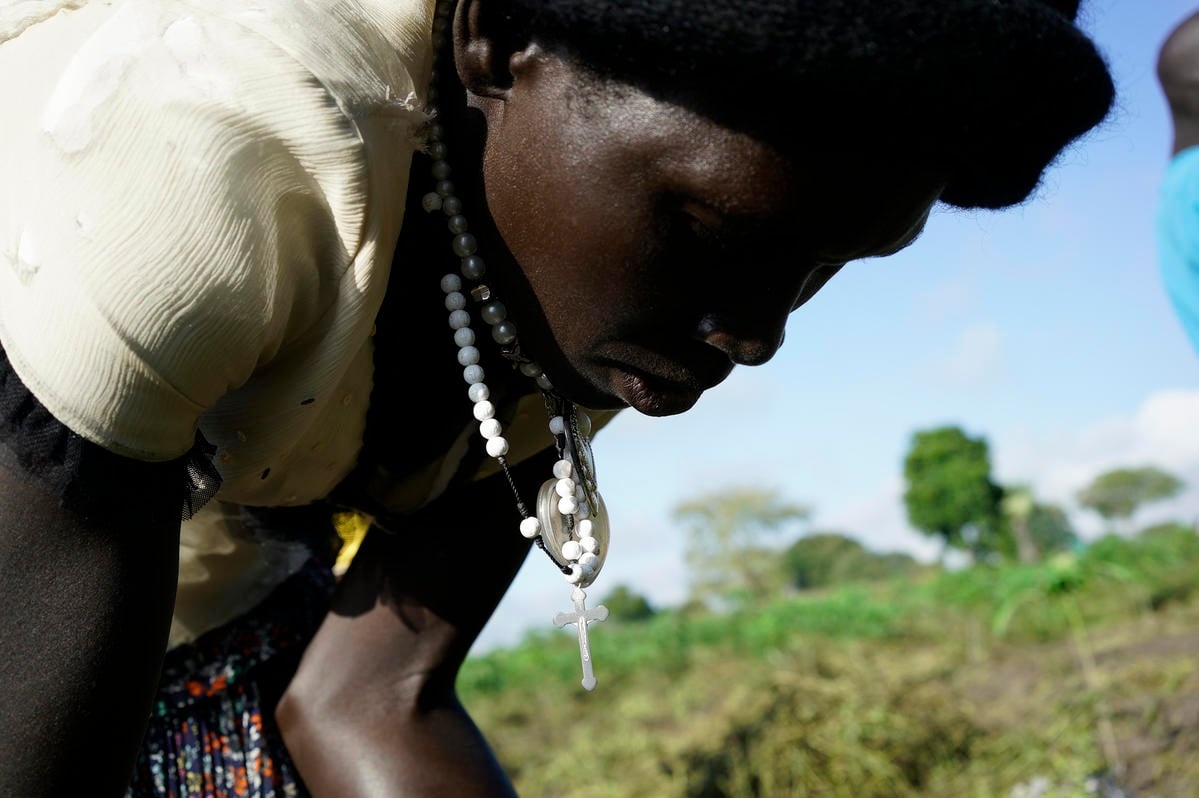 Uganda. South Sudanese refugees regenerate rice-growing economy