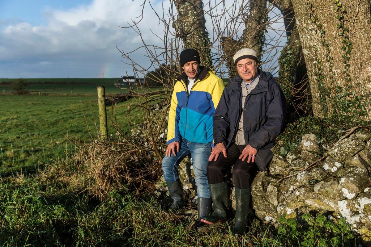 Ireland. An Irish social farming initiative giving Syrian refugee farmers an opportunity to work again