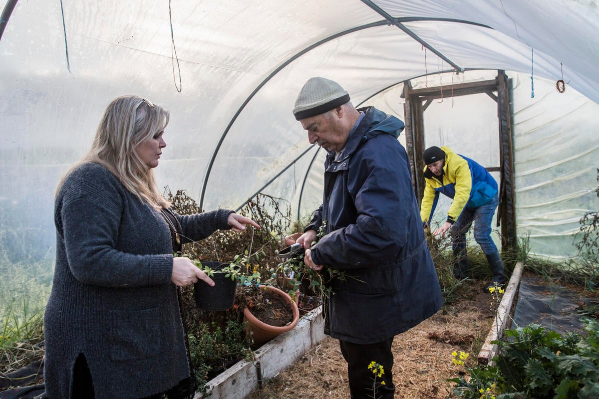 Ireland. An Irish social farming initiative giving Syrian refugee farmers an opportunity to work again