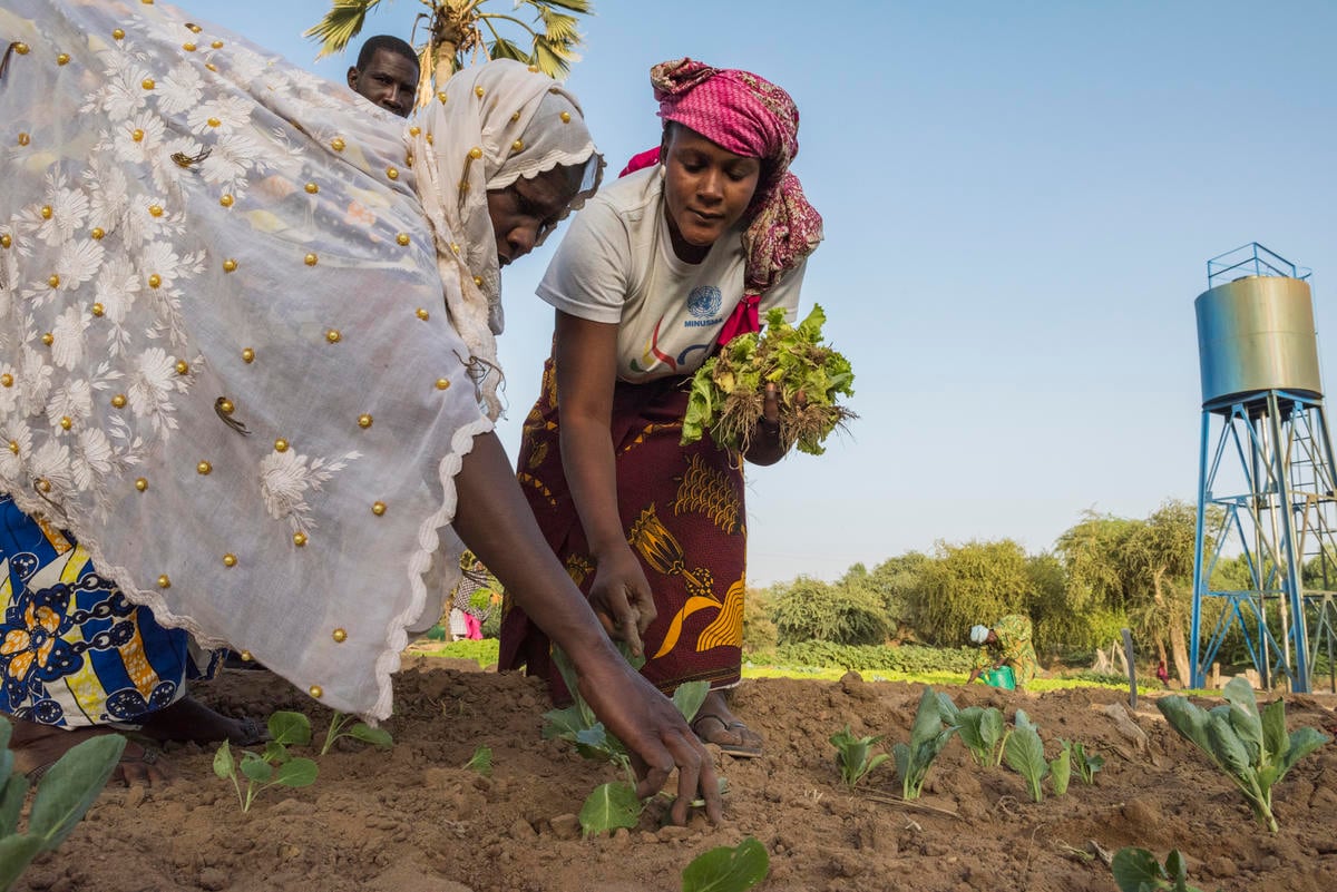 Mali. Gao women's agricultural association given help to grow
