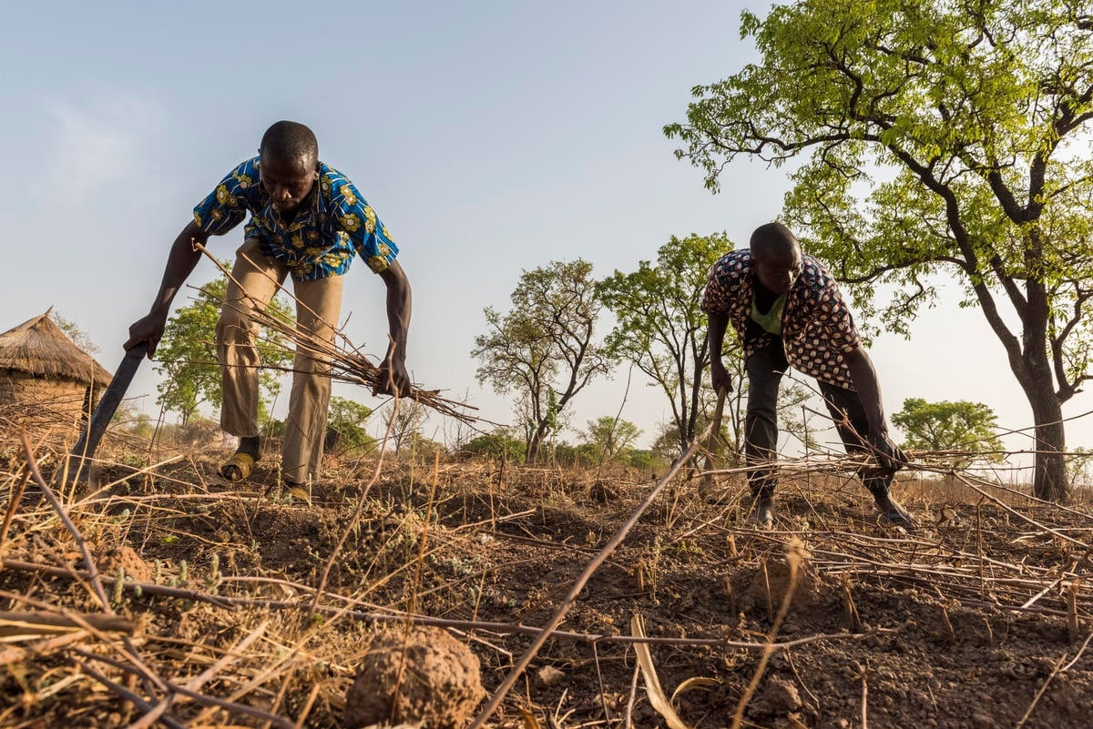 Côte d'Ivoire. UNHCR supporting an organisation campaigning against statelessness