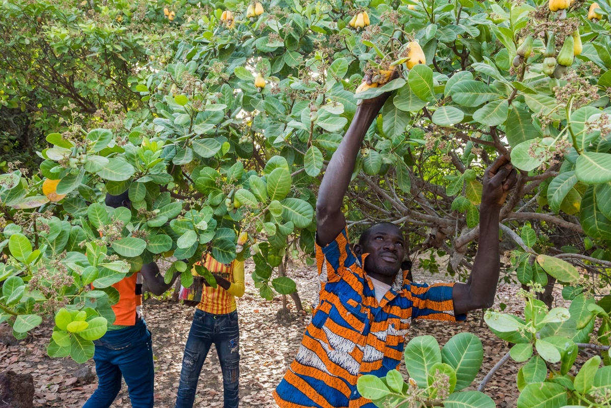 Côte d'Ivoire. UNHCR supporting an organisation campaigning against statelessness