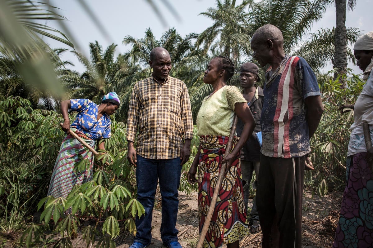 Democratic Republic of Congo. Peace villages and agricultural empowerment earn Evariste Mfaume a Nansen nomination