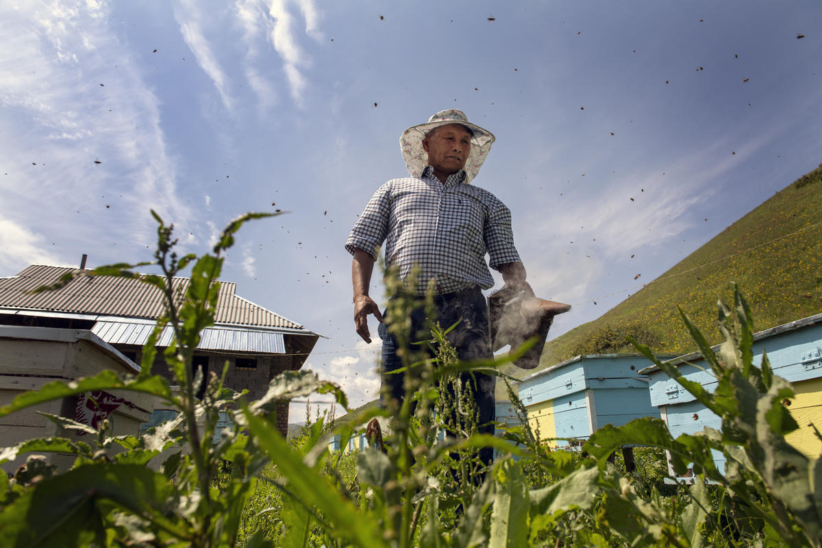 Kyrgyzstan. Saparov Abdusamat, 54, was stateless until recently.  After receiving his identity papers he can now work as a beekeeper and produce honey