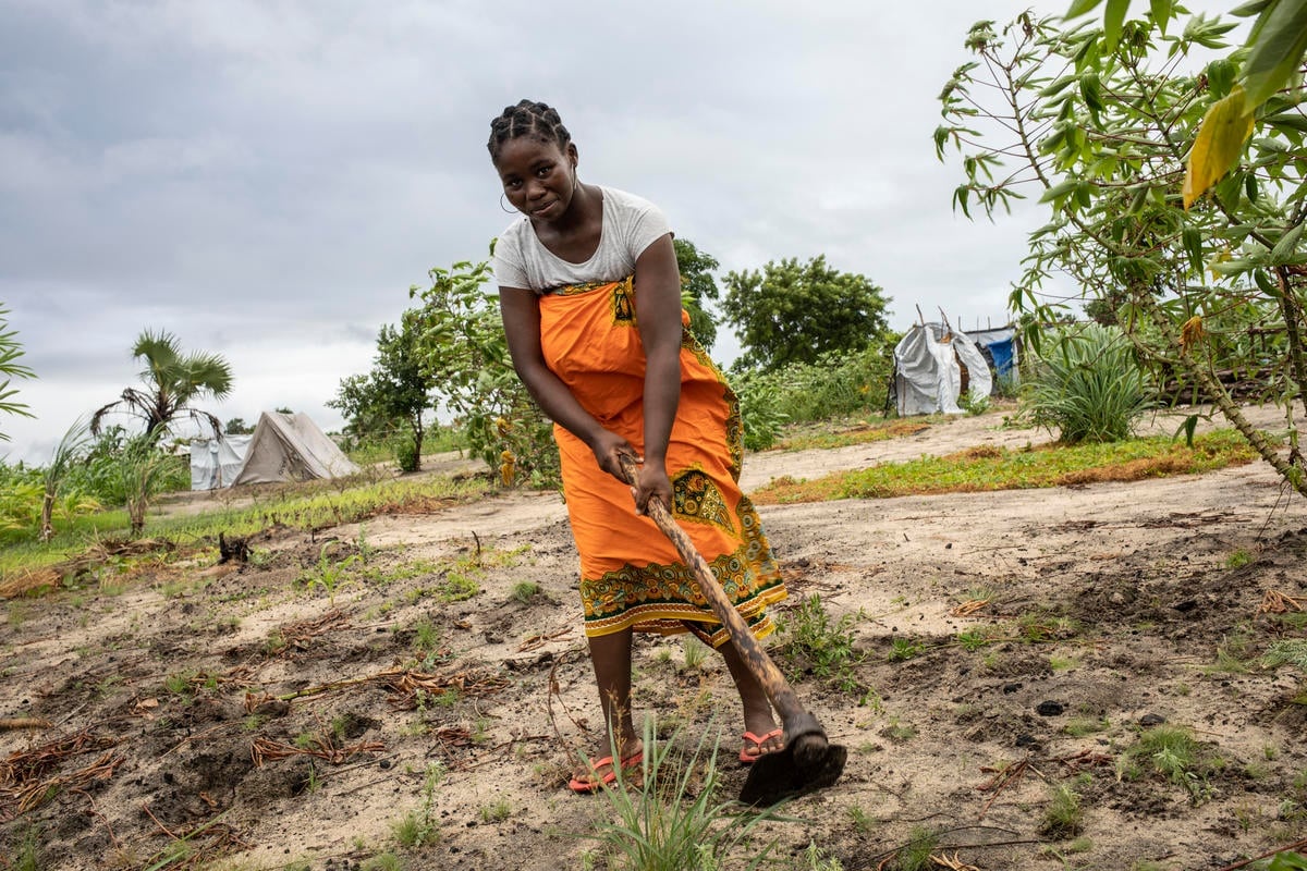 Mozambique. Cyclone Idai's effects linger, a year later