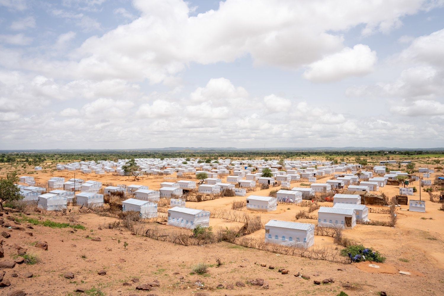 Rows of newly-built shelters in a refugee camp.