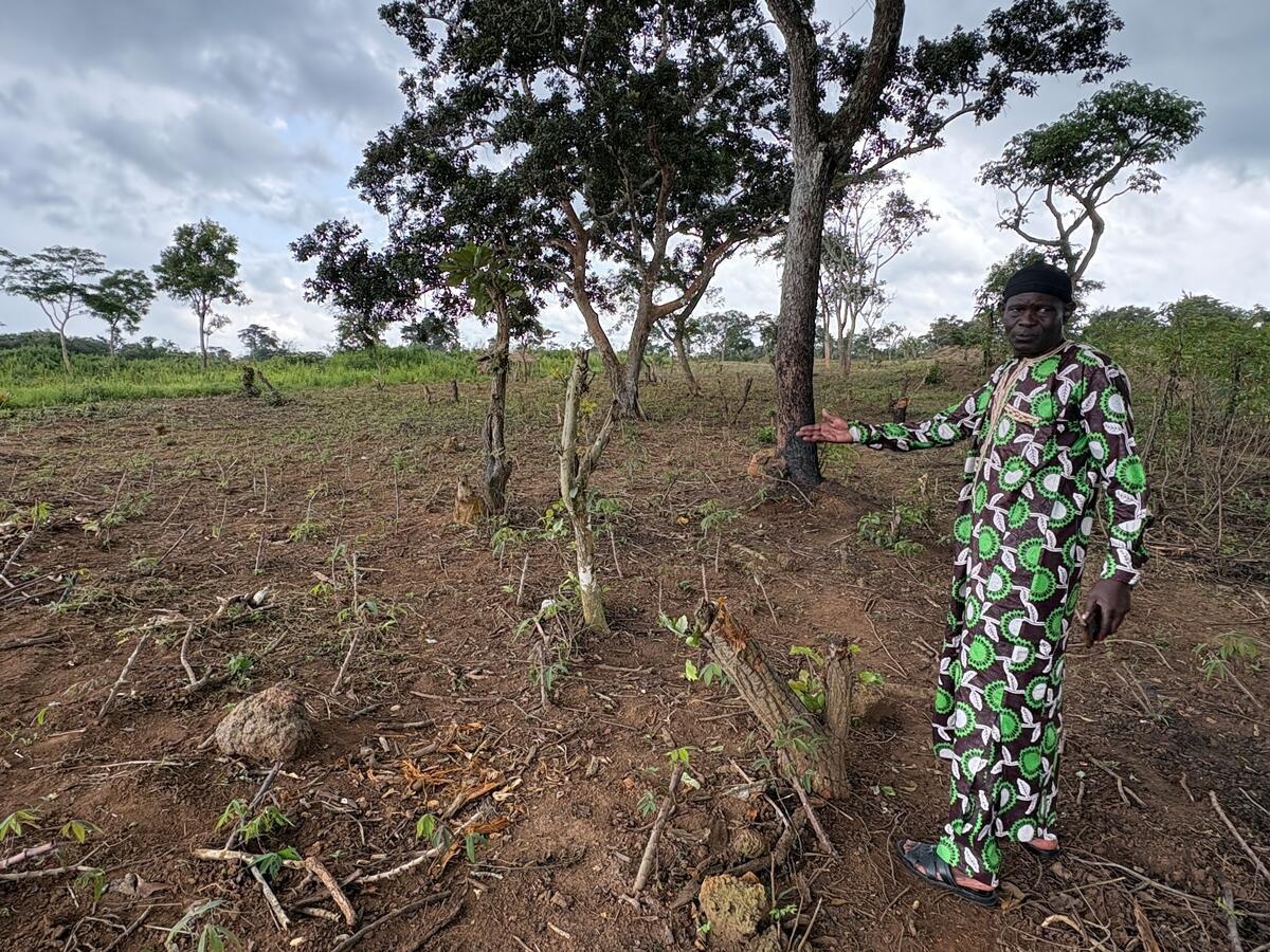A man in a brightly patterned outfit gestures to an area of partially cleared agricultural land