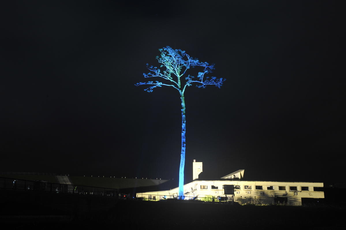 Japan. The Miracle Pine Tree of the City of Rikuzentakata turns to UN Blue, the night before the World Refugee Day