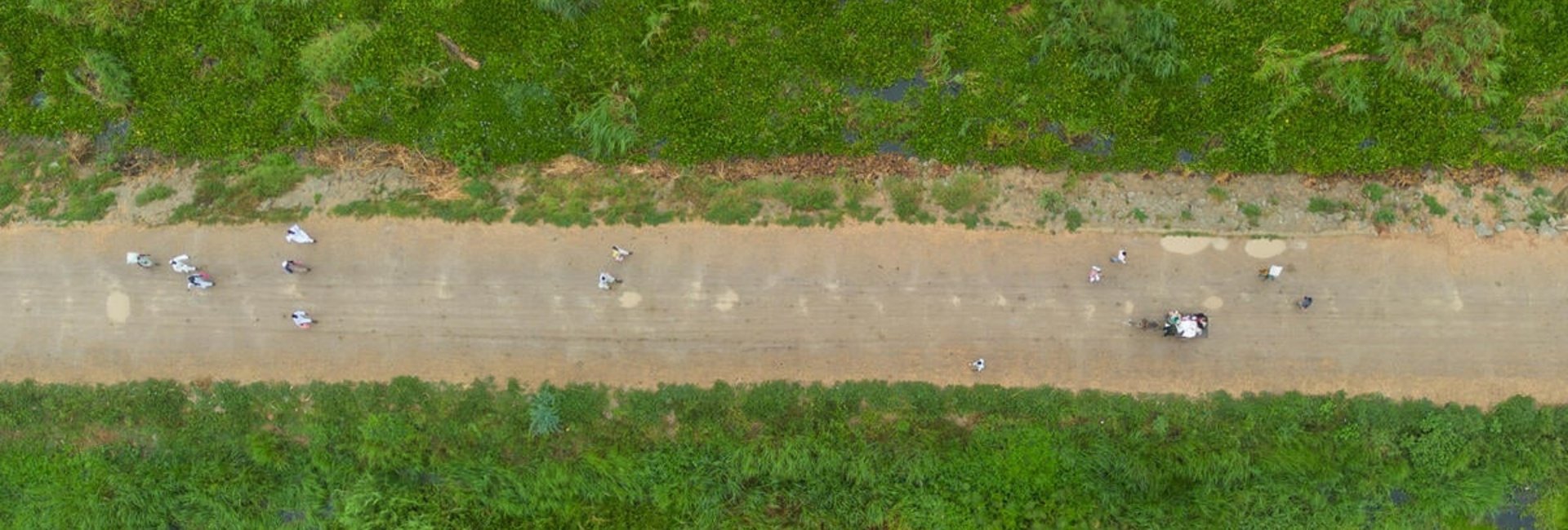 Aerial view of people walking on a wide dirt road between dense greenery.