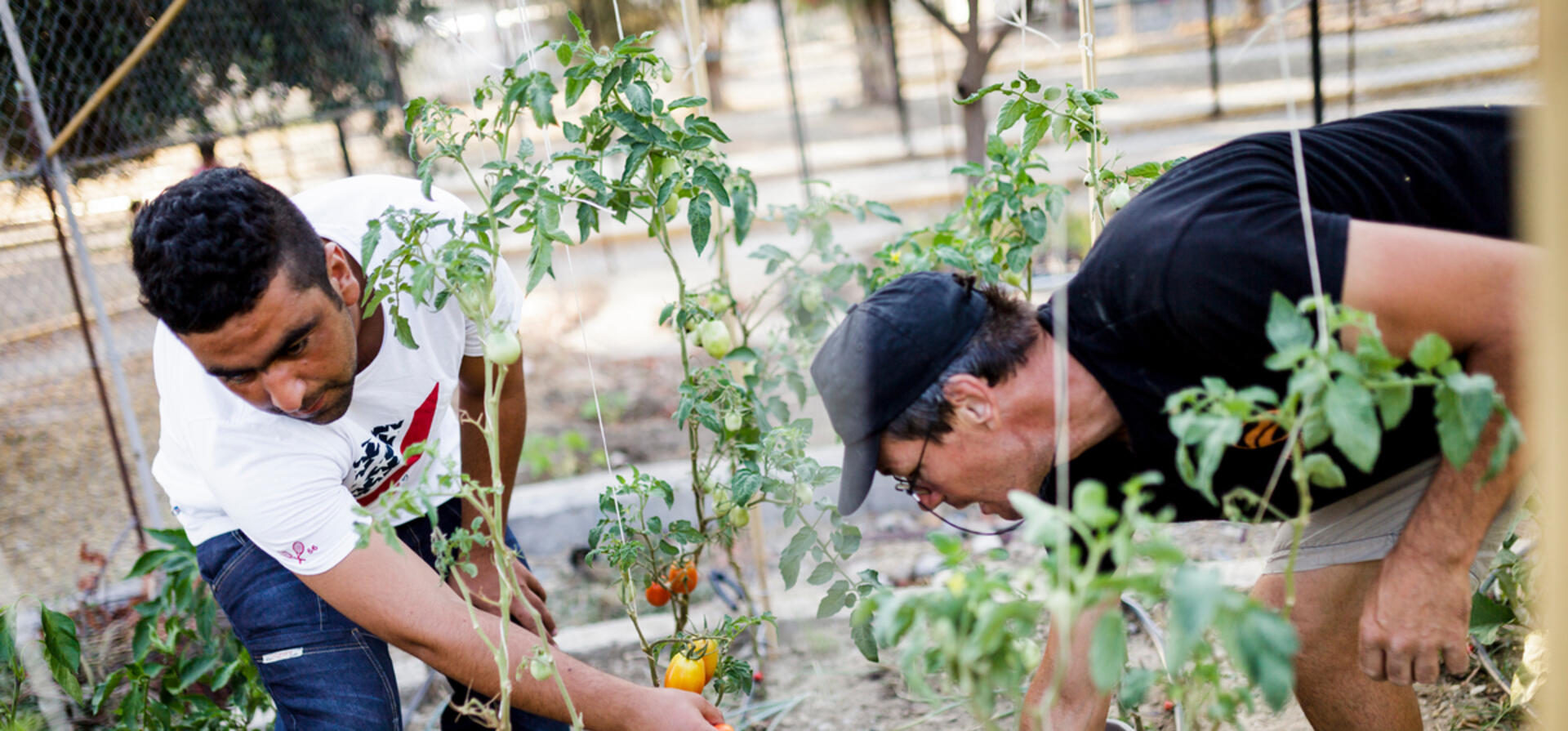 Afghan refugees 'give back' to needy Greek families
