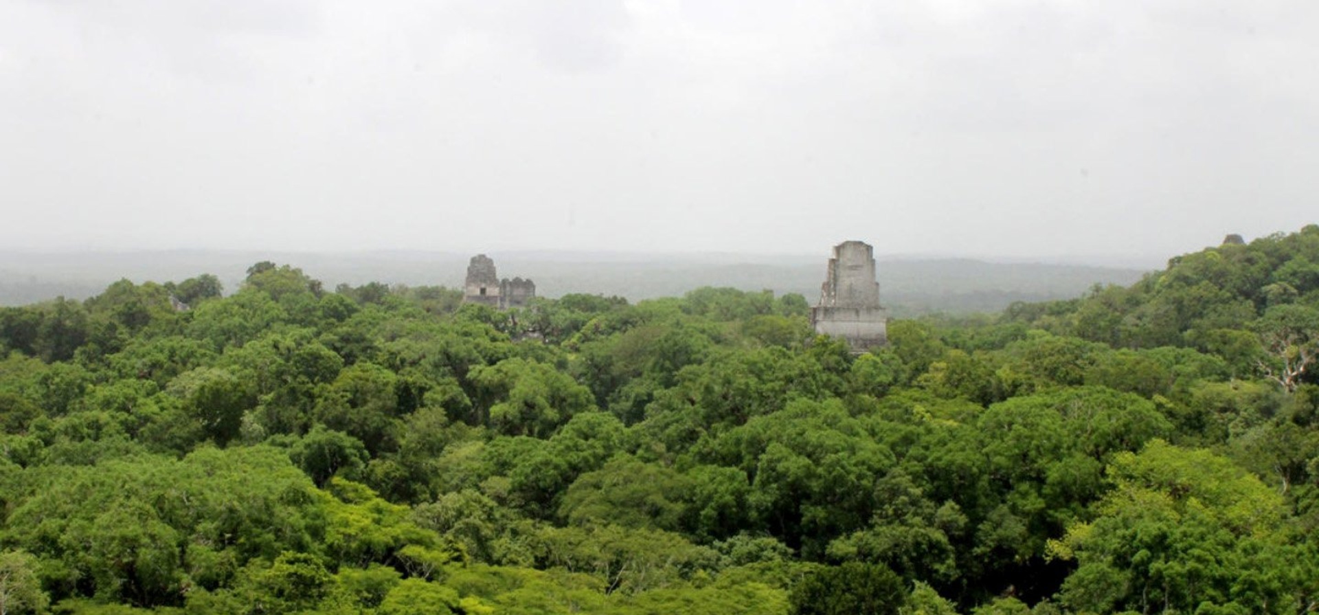 Guatemala.Tikal National Park