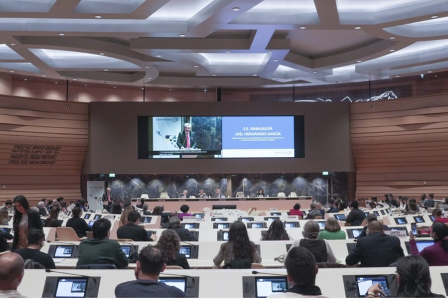 Back of meeting room of people seated classroom style looking forward at large screen