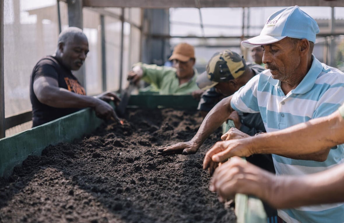 Refugee volunteers work on an agro-ecological project at a sustainability centre in Boa Vista, Roraima State, Brazil.