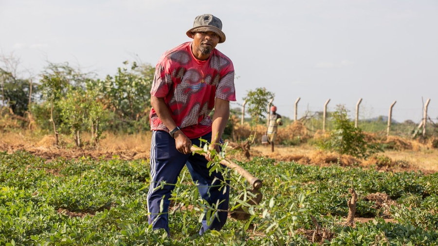 A man wearing a hat works a field with a hoe.