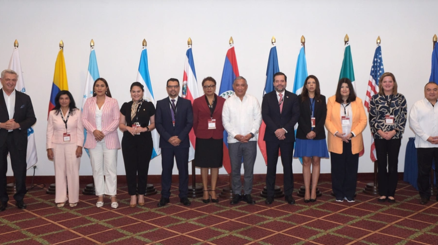 Twelve people stand in a row in front of a collection of flags