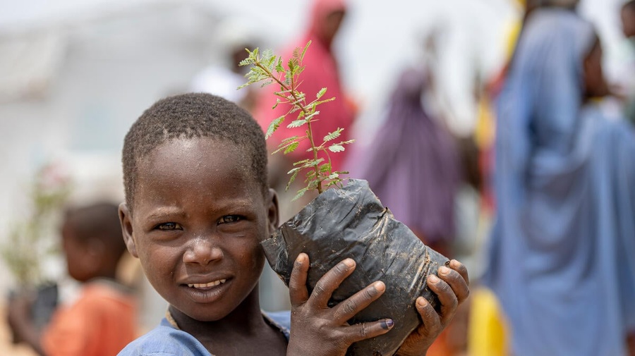 Cameroon. Planting 2,000 trees in the Far North region of Cameroon to help combat desertification.