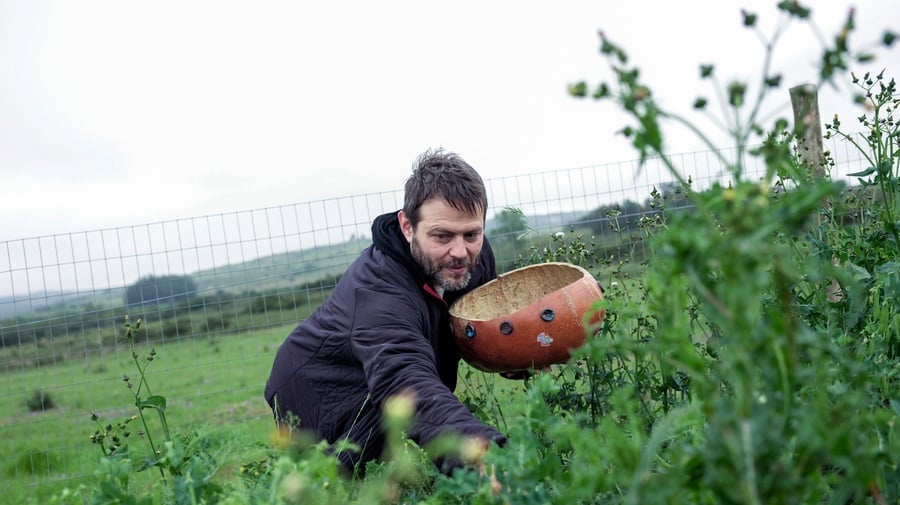 Santiago Vazquez, Argentinian artist, harvesting in the vegetable garden on his new plot of land in the countryside in Uruguay.