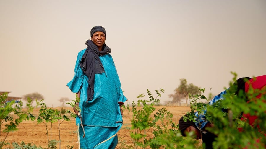 Niger. Malian refugee working in a sustainable market garden in Abala