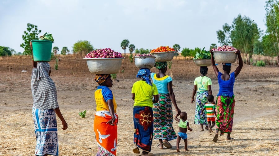 Togo. Refugee women and women from the host community carrying their tomato, onion and lettuce crops to market in Biankouri