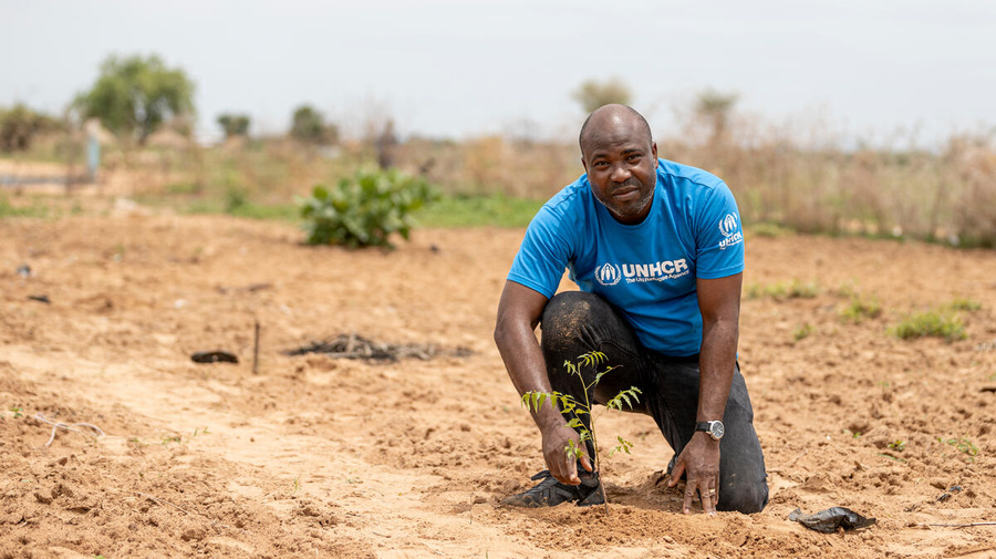A UNHCR staff member plants a tree.