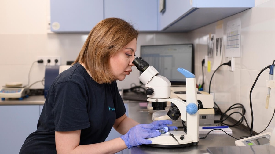 A woman wearing blue gloves looks through a microscope in a laboratory.