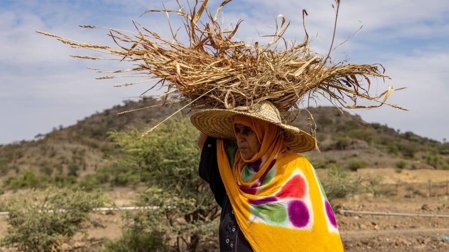 Jamilah Majed: A Journey Towards Recovery and Stability