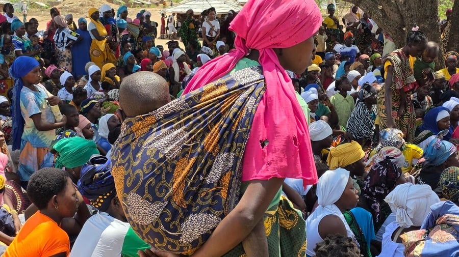 Huge groups of displaced families gather in the open under a large tree