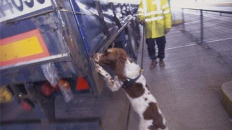 Current challenges like people smuggling, reflected in the heightened security at Britain's Dover Dock, call for new solutions for refugees.