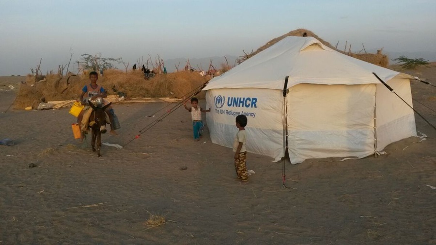 Yemen. Conditions deteriorate as humanitarian catastrophe looms