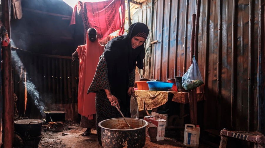 Ethiopia. Pesky weed provides energy and income for Somali refugees and hosts